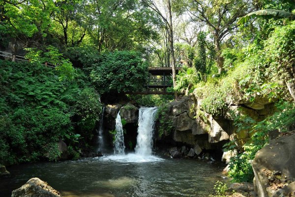 6 Tips for Nature Lovers visiting Rhodes